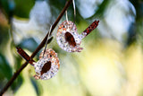 Sally the Superb Fairy Wren - Hoops
