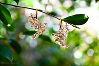 Christmas 2025 - Dove - Gold Flake Sparkle