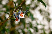 Larry the Lovely Fairy Wren - Hoops