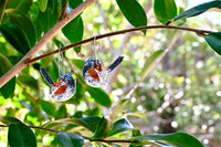 Larry the Lovely Fairy Wren - Hoops