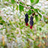 Clarke the (Red tailed, Black) Cockatoo Hoops