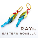 Ray the Eastern Rosella