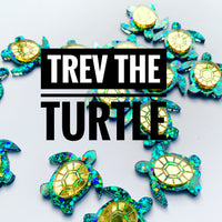 Trev the Turtle Stud